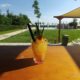 cocktail piscina